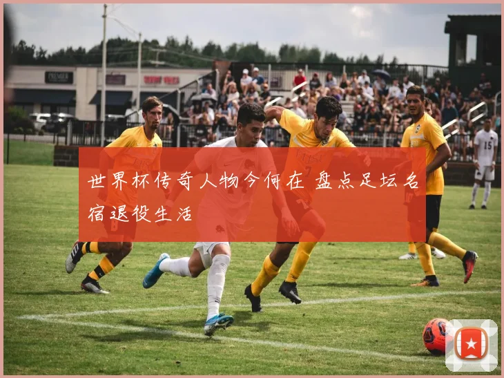 世界杯传奇人物今何在 盘点足坛名宿退役生活