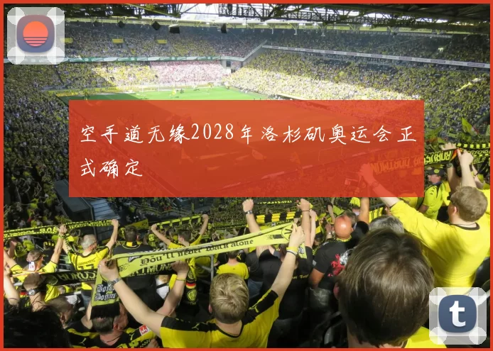 空手道无缘2028年洛杉矶奥运会正式确定