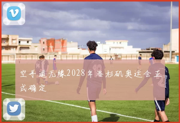 空手道无缘2028年洛杉矶奥运会正式确定