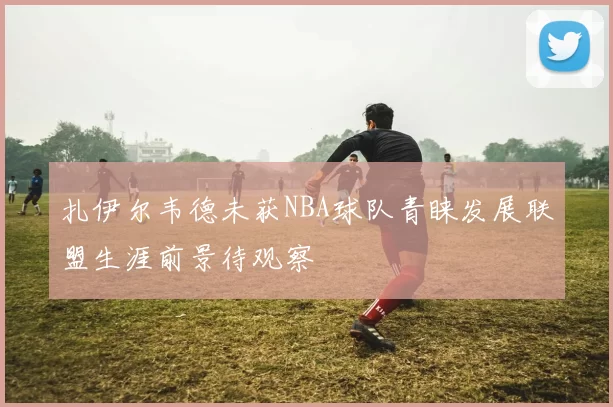 扎伊尔韦德未获NBA球队青睐发展联盟生涯前景待观察
