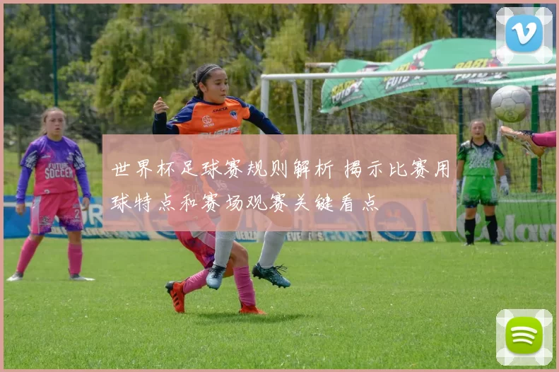 世界杯足球赛规则解析 揭示比赛用球特点和赛场观赛关键看点