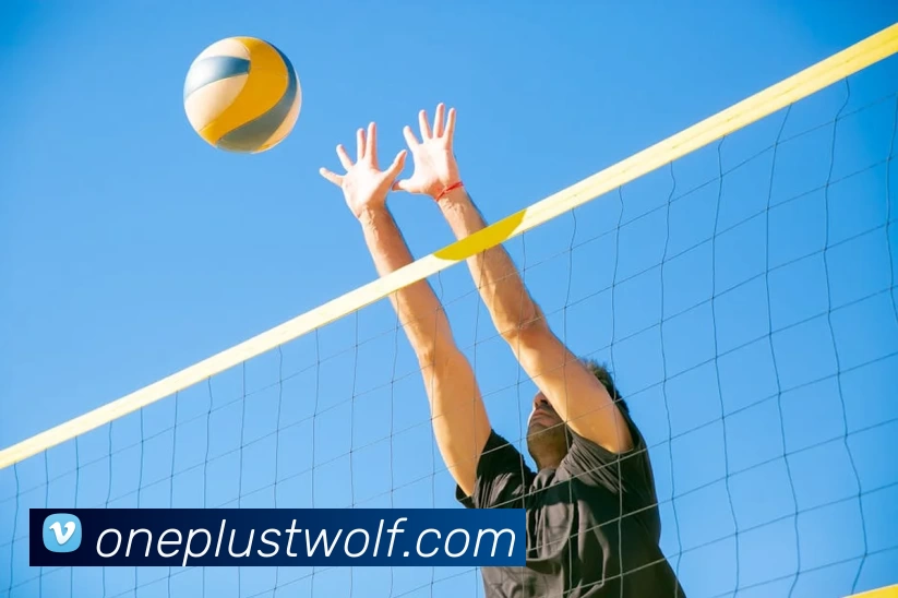 必一·运动(B - Sports)官方网站平台生态图