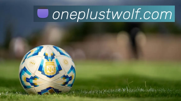 必一·运动(B - Sports)官方网站全站App 必一·运动(B - Sports)官方网站全站App