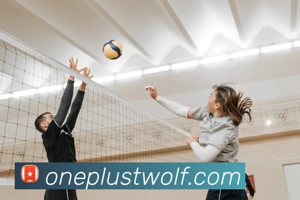 辅助工具 辅助工具